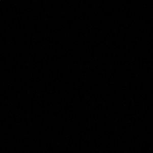 Meet your Posher, Ella